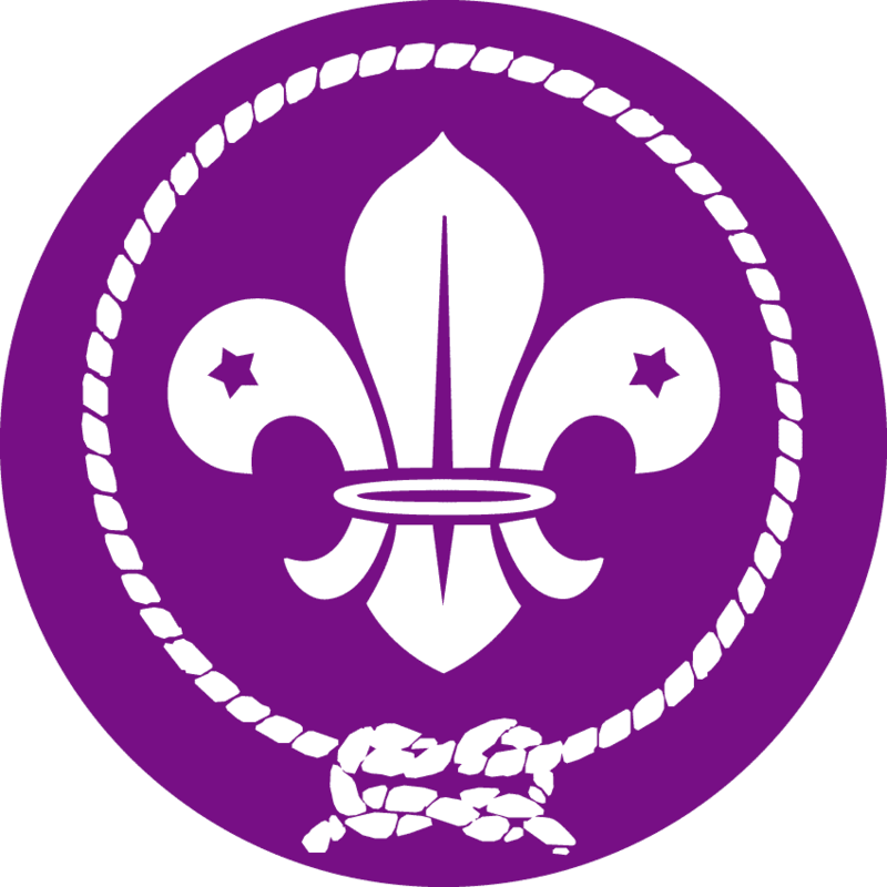 Organisation-mondiale-du-mouvement-scou-logo